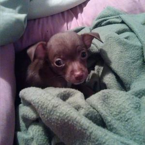 Meet your Posher, Kevin